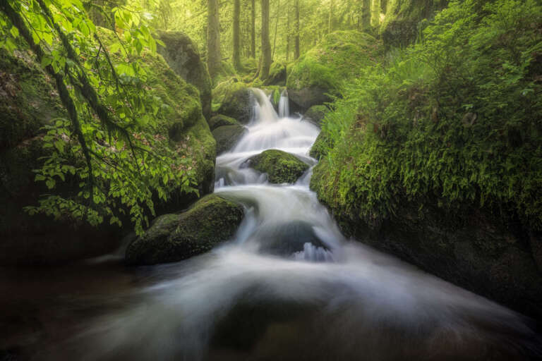 Cozyplace – Frühling