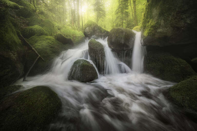 Belebend – Revitalizing