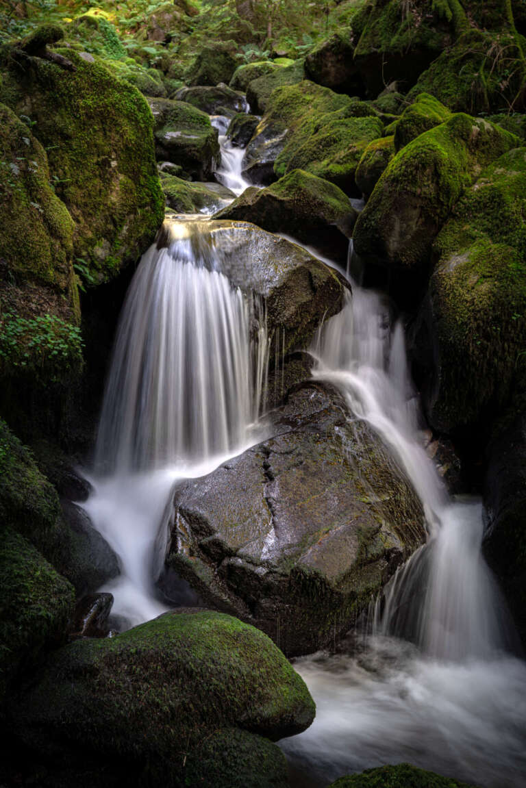 Teichschlucht