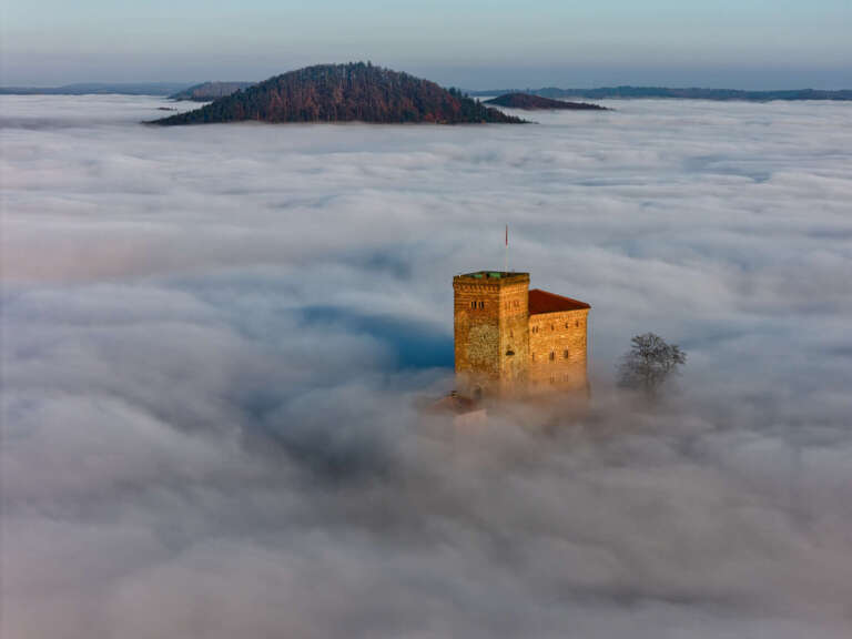 Burg Trifels im Nebelmeer
