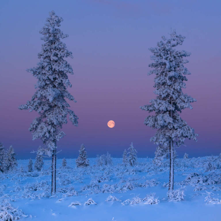 Lappland Moon