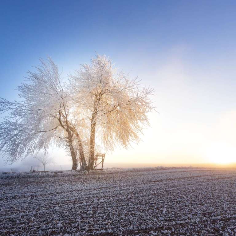 Wintertraum
