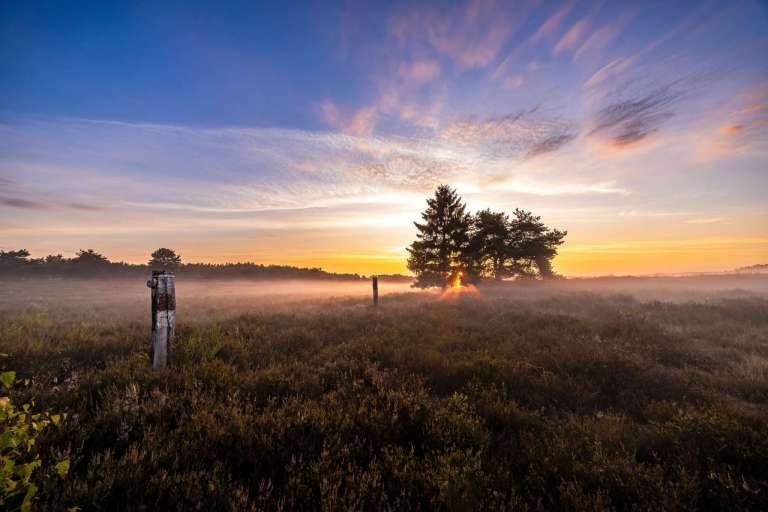 Sonnenaufgang in der Heide