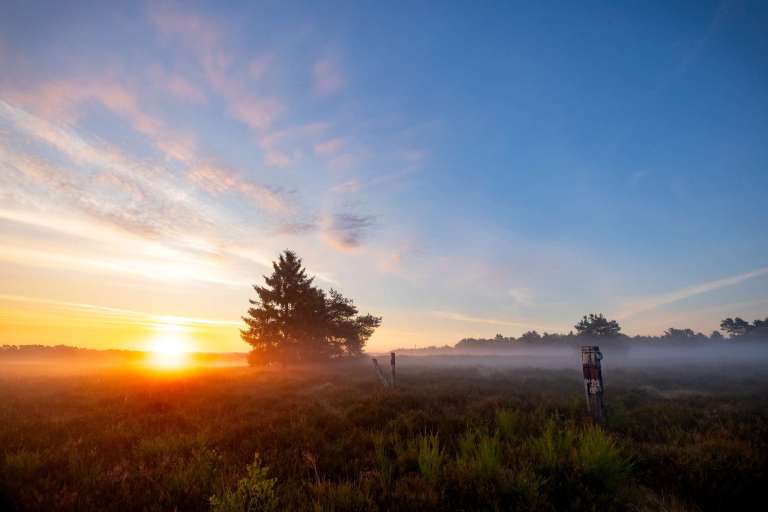 Sonnenaufgang in der Heide