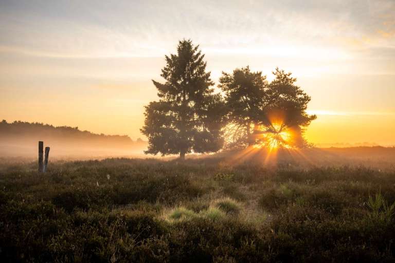 Sonnenaufgang in der Heide