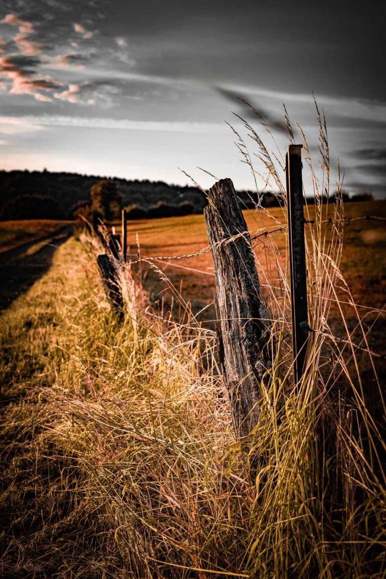 Holzzaun am Feldrand