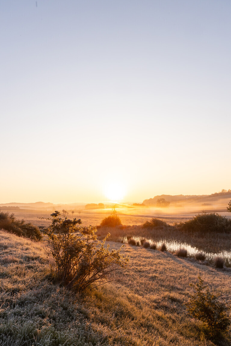 Frostiger Sonnenaufgang