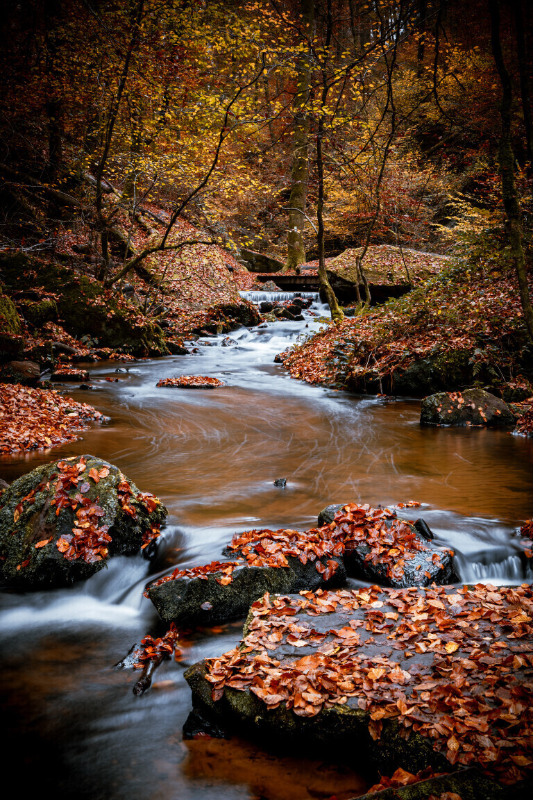 Wildbach im Karlstal