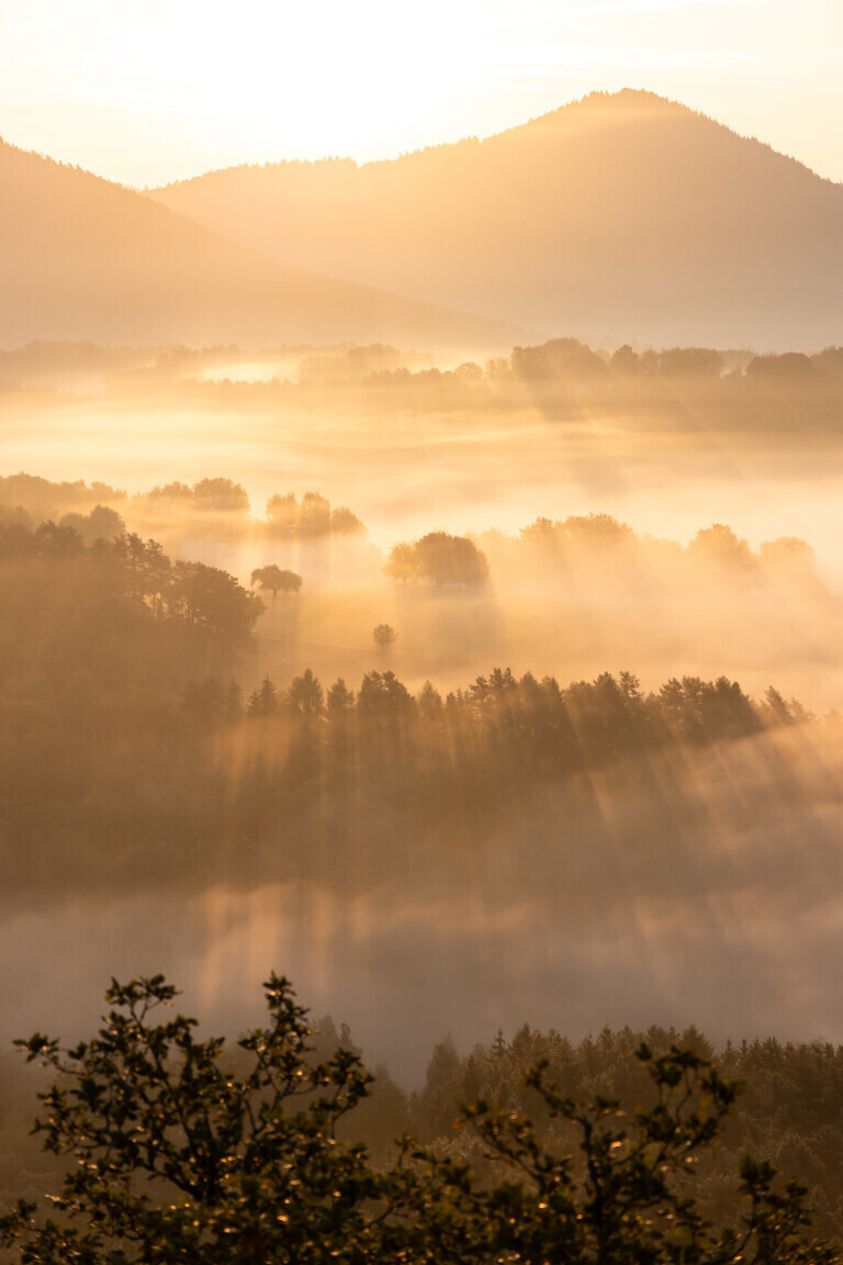 Leuchtender Nebel