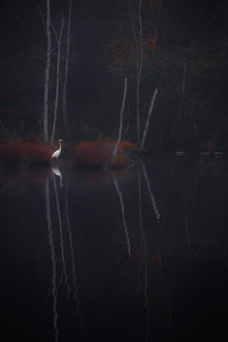 Morgens am See