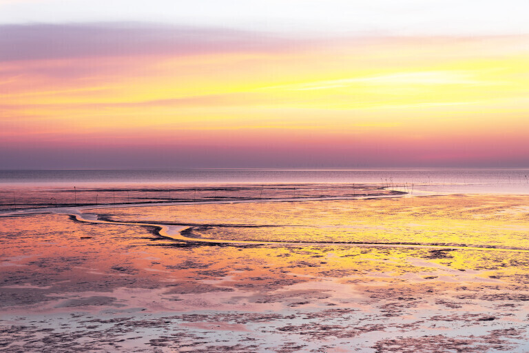 Leuchtendes Wattenmeer