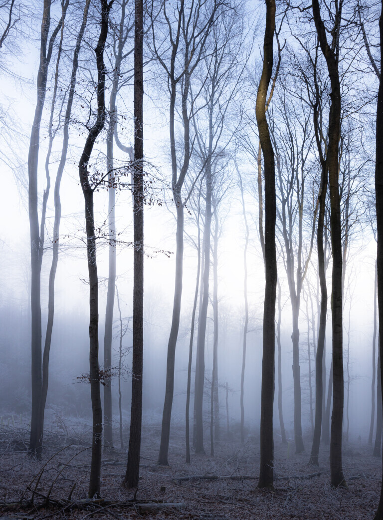 Strukturen im Nebel