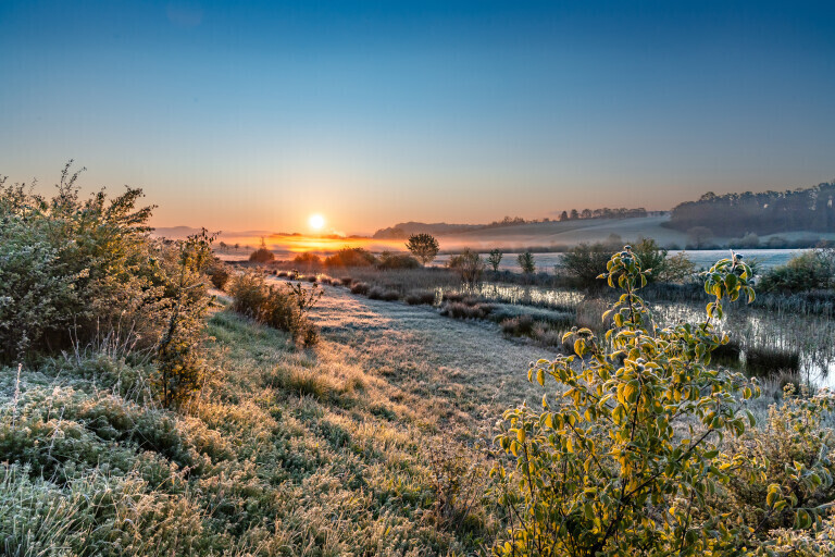 Frostiger Frühlingsmorgen