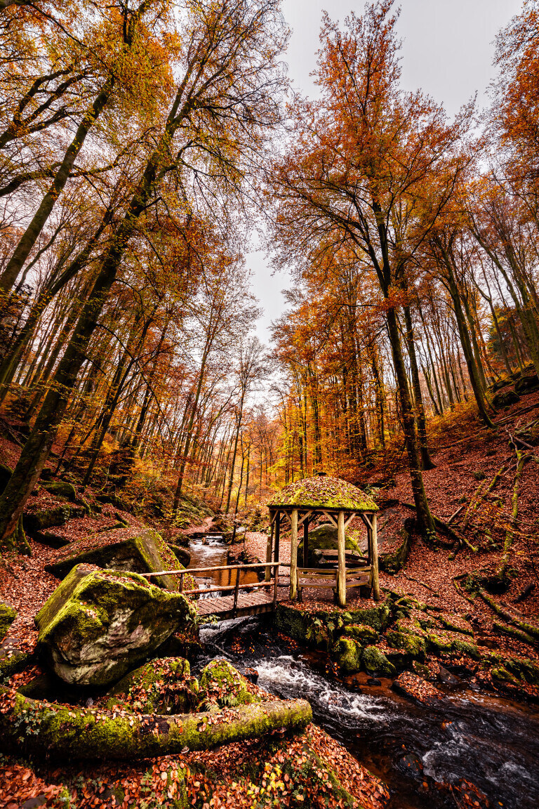 Herbst in der Karlstalschlucht