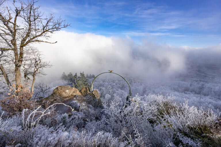 Nebel am Donnersberg