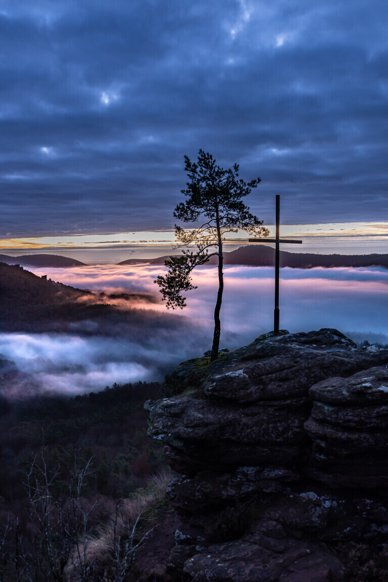 Über dem Nebelmeer