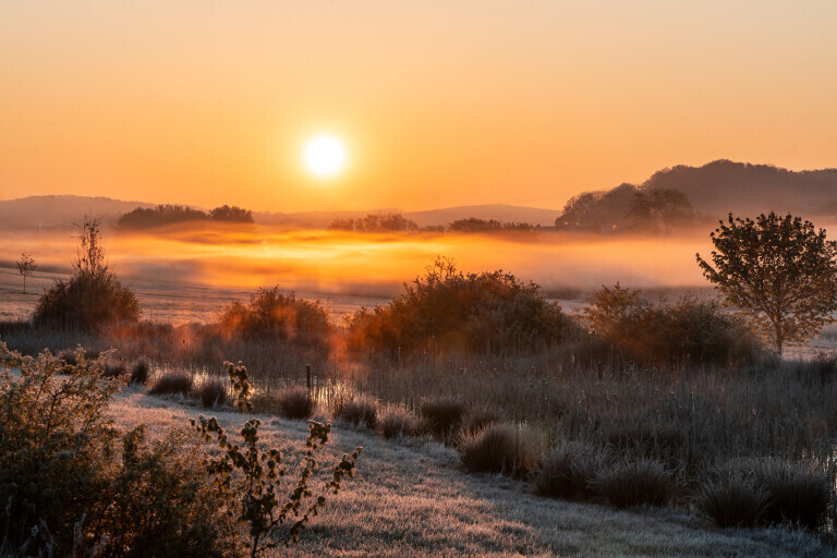 Frostiger Morgen