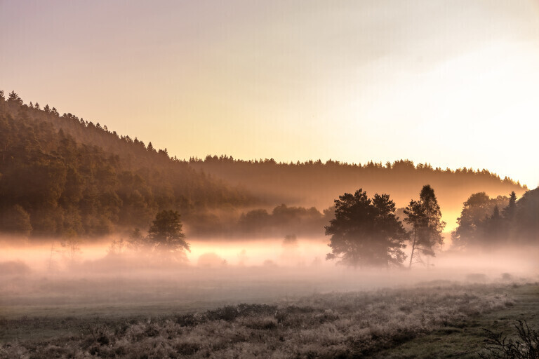 Nebel am Aschbacherhof