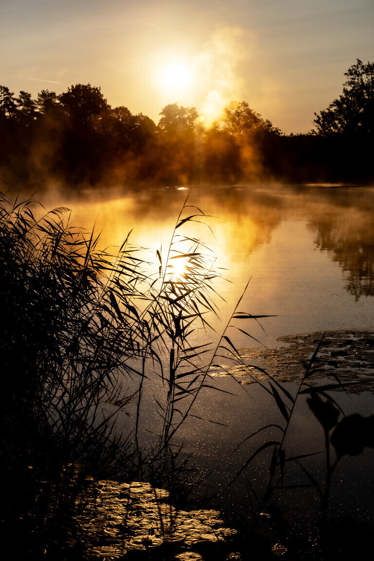 Sonnenaufgang am Seewoog