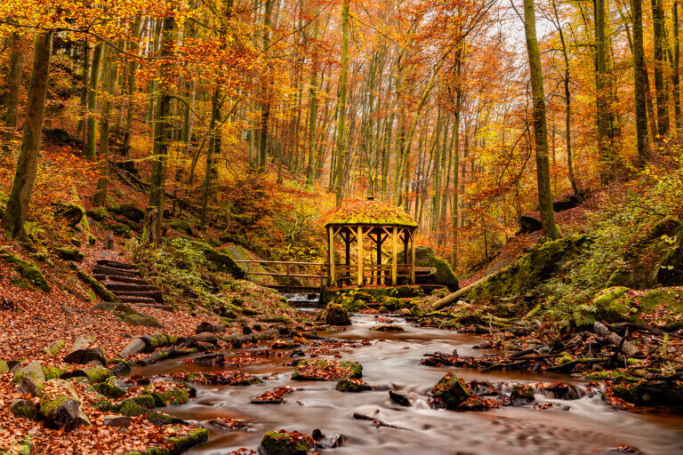 Herbstliches Karlstal