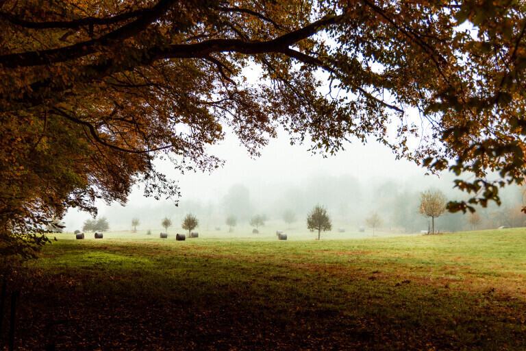 Tal im Herbst