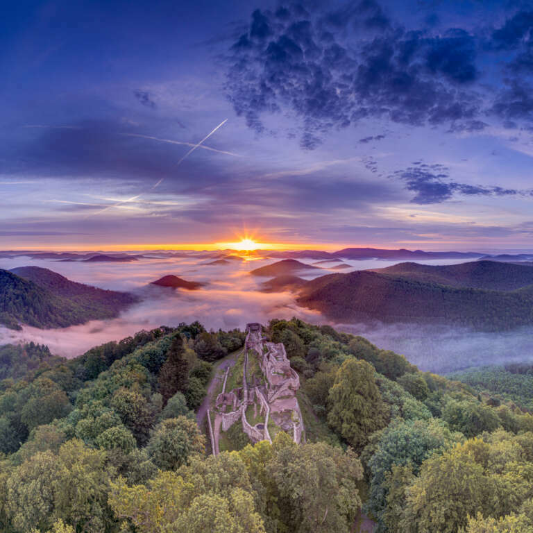 Mittsommer auf der Wegelnburg