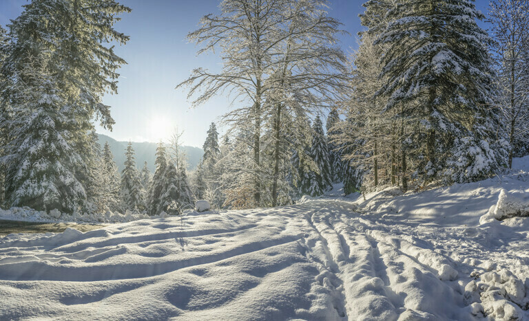 Winterlandschaft bei Oppenau