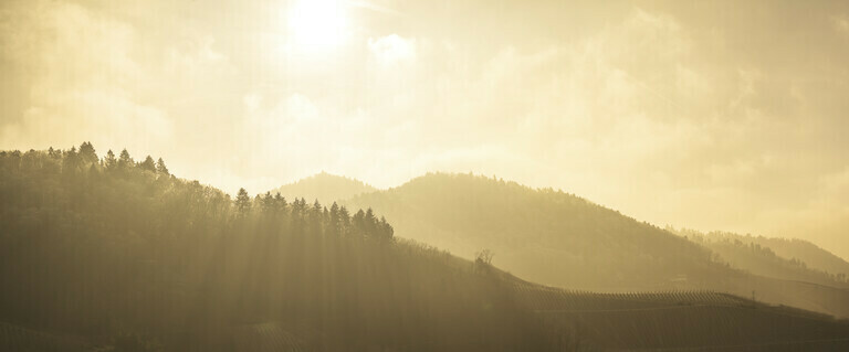 Schwarzwald-Panorama mit morgendliche Sonnenstrahlen in der Ortenau