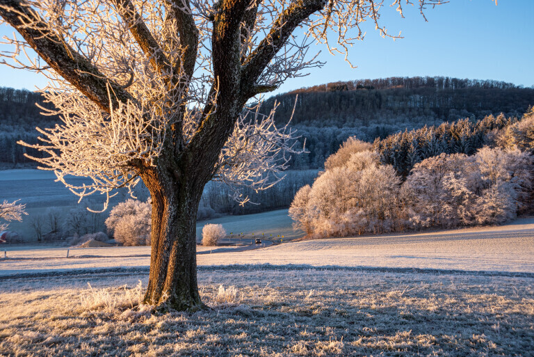 Wintertraum am Gairensattel