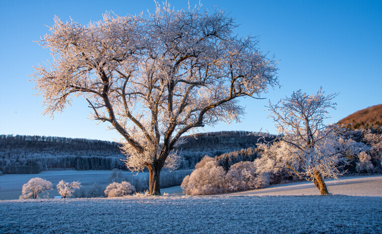 Wintertraum am Gairensattel