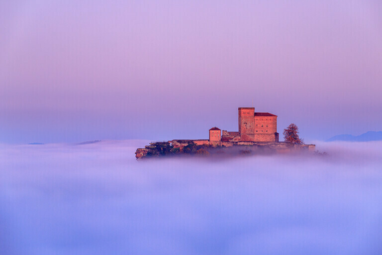 Burg Trifels im Nebelmeer