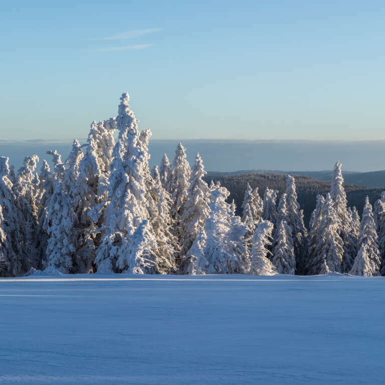 Winterlandschaft auf der Hornisgrinde