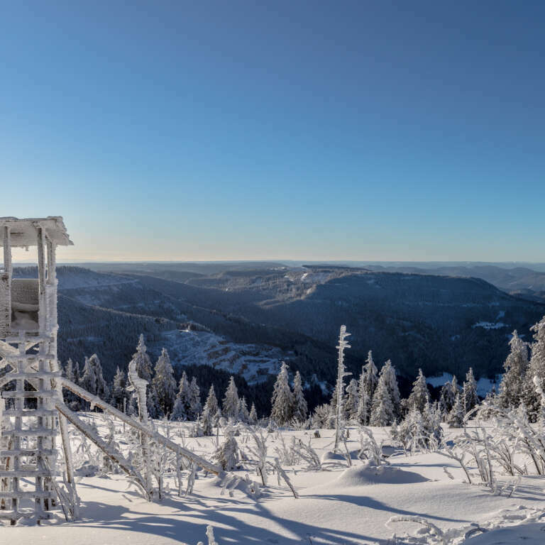 Traumwetter auf der Hornisgrinde