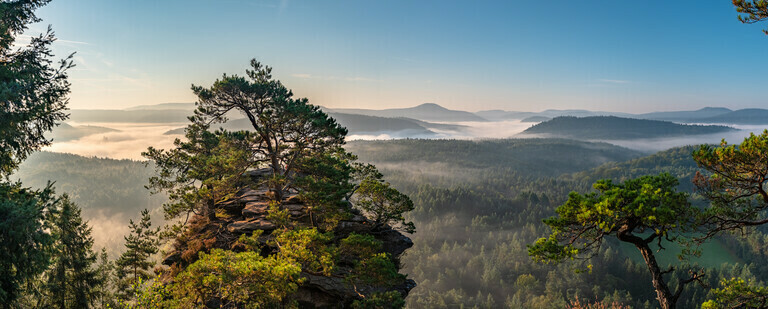 Romantisches Panorama mit Blick über den Pfälzerwald