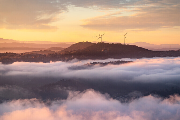 Nebelmorgen im Schwarzwald