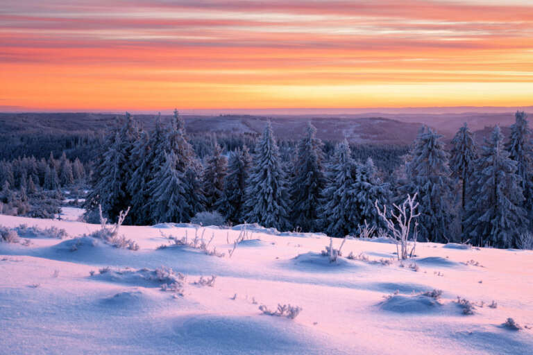 Frostiger Wintermorgen am Schliffkopf im Schwarzwald
