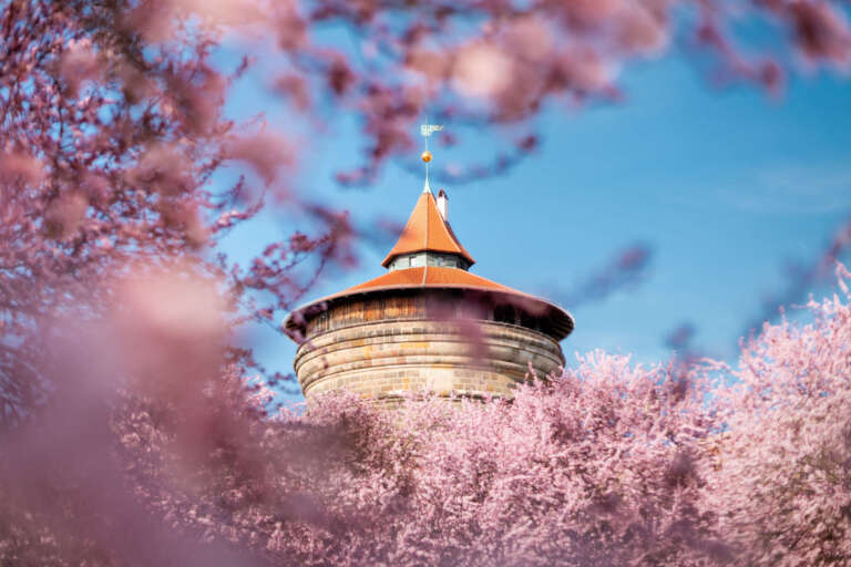 Frühlingsblüten am Laufer Torturm – Nürnbergs Altstadt im Frühling