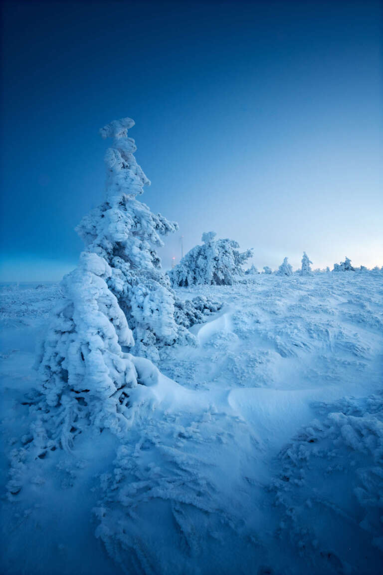 Winterlandschaft auf der Hornisgrinde im Schwarzwald