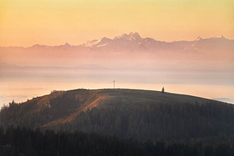 Ausblick vom Feldberg auf die Alpen