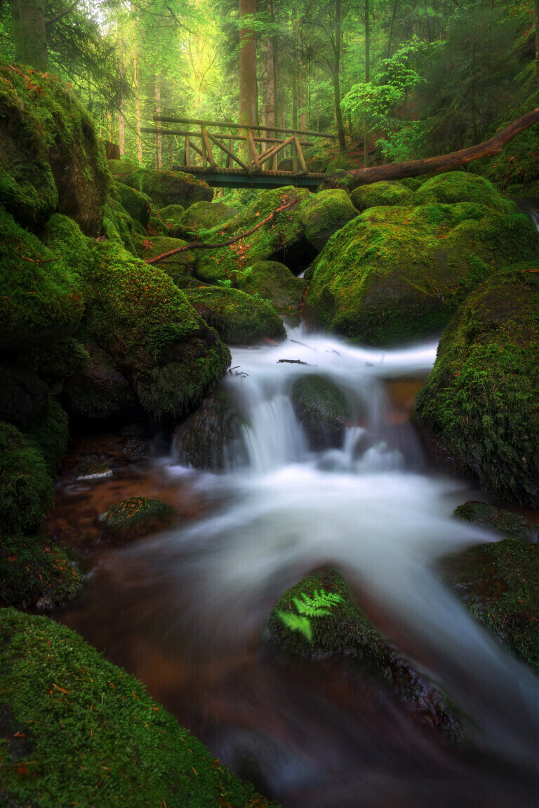 Gertelbach Wasserfälle im Frühling