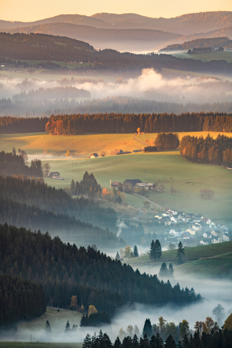 Ausblick vom Brendturm, Furtwangen