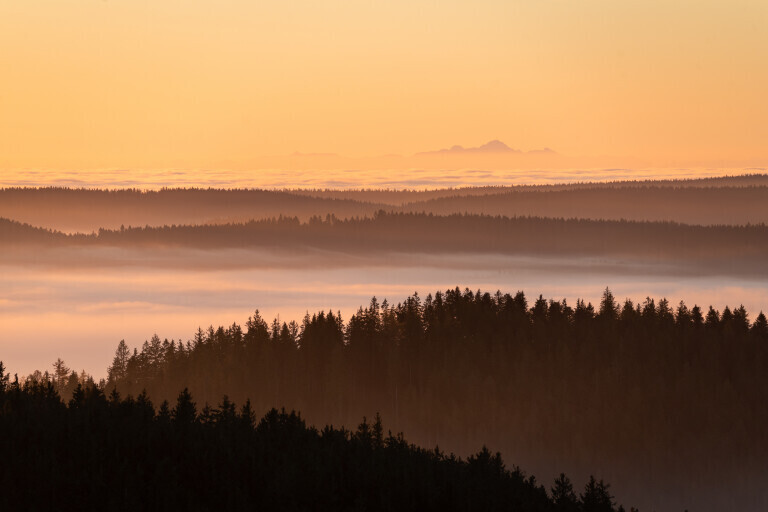 Aussblick vom Brendturm, Furtwangen