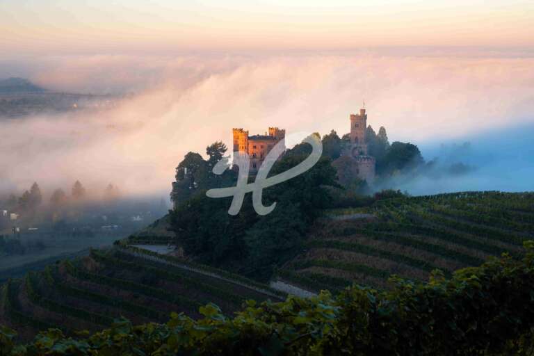 Nebelstimmung am Schloss Ortenberg