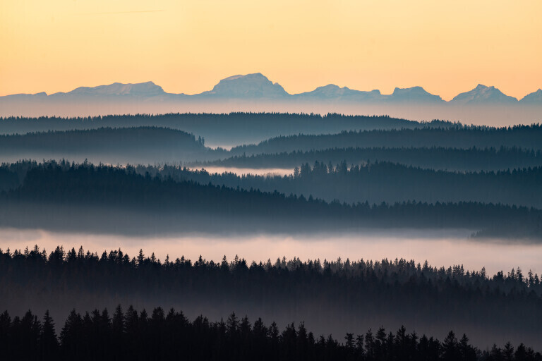 Alpenpanorama