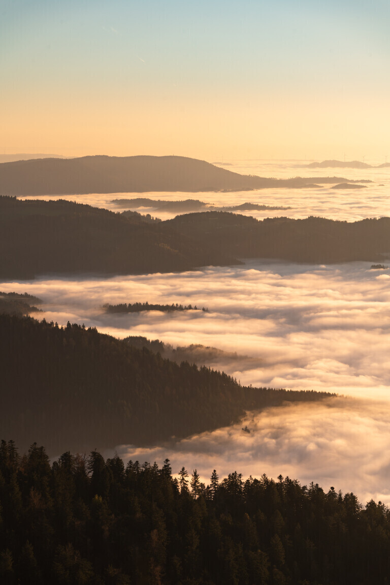 Nebelmeer im Schwarzwald