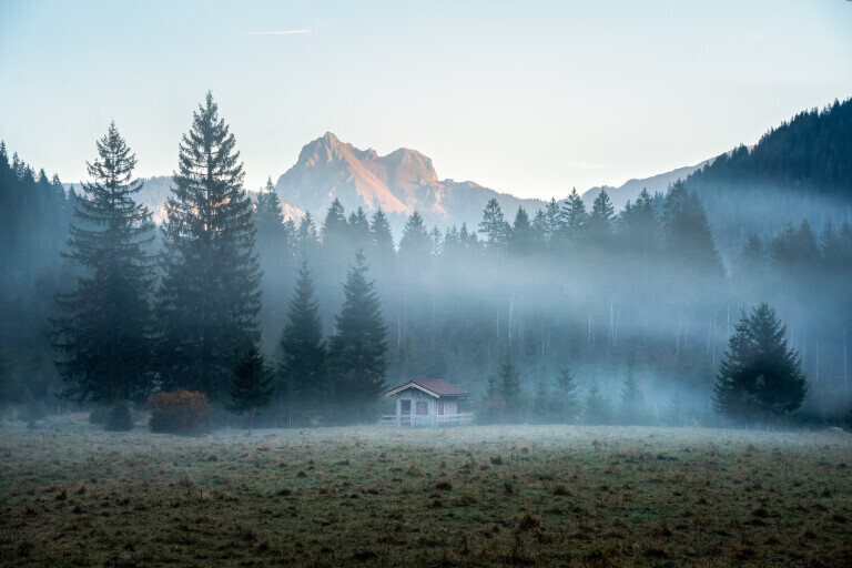 Morgenstimmung im Tannheimer Tal