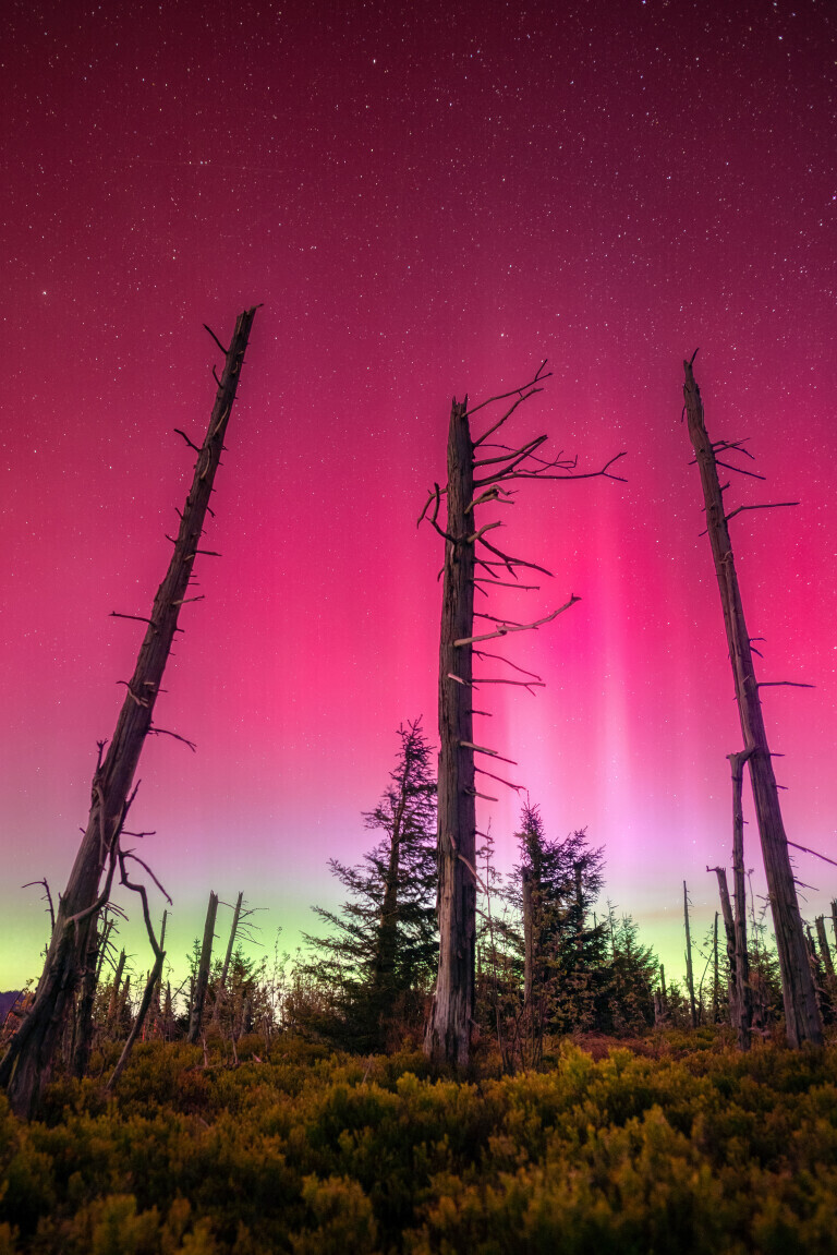 Polarlichter über dem Schwarzwald