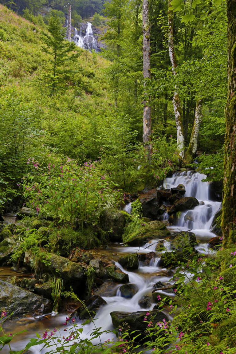 Todtnauer Wasserfälle