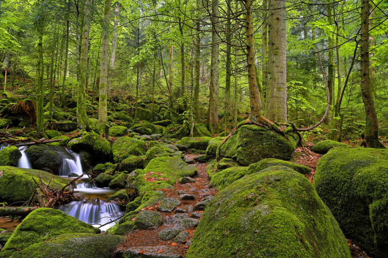 Gertelbacher Wasserfälle im Schwarzwald