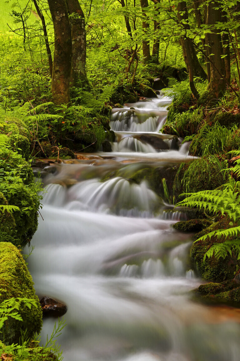 Wildbach bei Ottenhöfen im Schwarzwald